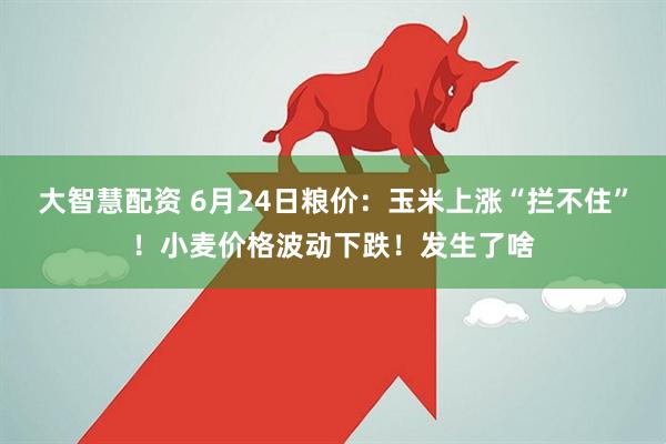 大智慧配资 6月24日粮价：玉米上涨“拦不住”！小麦价格波动下跌！发生了啥