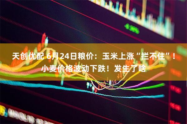 天创优配 6月24日粮价：玉米上涨“拦不住”！小麦价格波动下跌！发生了啥