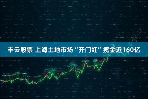丰云股票 上海土地市场“开门红”揽金近160亿
