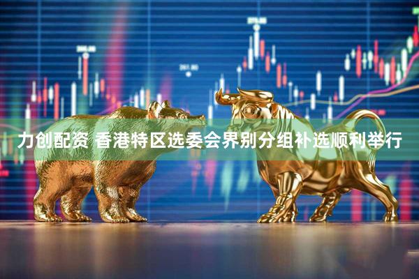 力创配资 香港特区选委会界别分组补选顺利举行