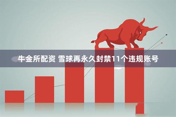 牛金所配资 雪球再永久封禁11个违规账号